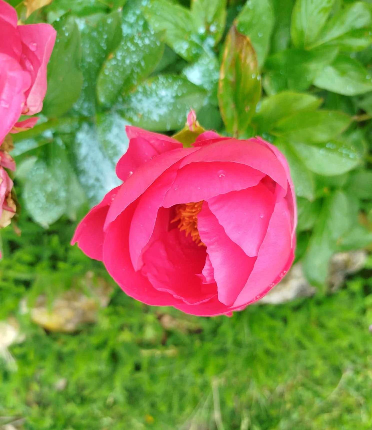 Gite Des Fours Agonges Exterior foto