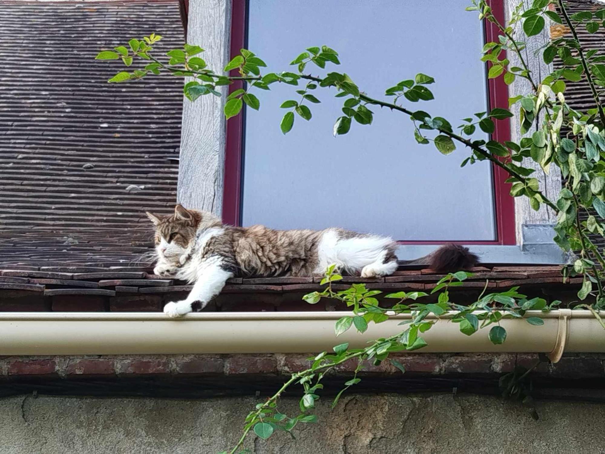 Gite Des Fours Agonges Exterior foto